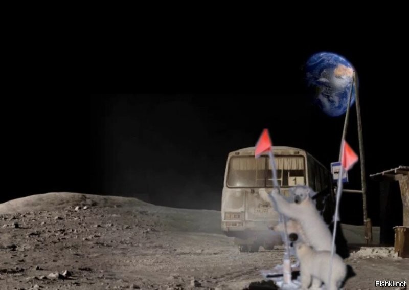 Винтажные снимки трамвая-подъемника из 50-х годов