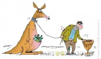 Райские дома на австралийских островах стоят дешевле московской однушки