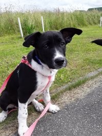 Один месяц и семь месяцев. Малышунькой бегала по улице, но одним взглядом покорила всё семейство.