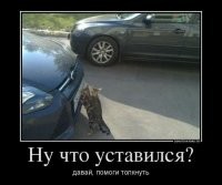 Подборка автомобильных приколов