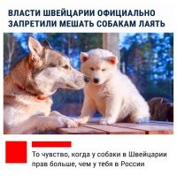 30 забавных фактов для хорошего настроения