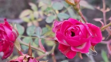 Вечерняя прогулка по Краснодару