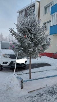 Вечерняя прогулка по Краснодару