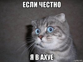 Гифки дня 