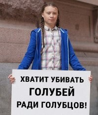 Кошмар!!! 
Не трогайте голубей! Они высиживают птенцов!!! Круглосуточно! 
Может Сергею Голованю, гендиректору управляющей компании ООО "Галактика" стоит проверить, не дай Бог он и его подчинённые крыс травят в подвалах ещё! Может они настолько жестокие, что травят этих беззащитных крысок, которые высиживают крысят!!! Круглосуточно!!!!!!1111!!!
А может Сергей Головань-сотоварищи ещё и ТАРАКАНОВ и мокриц разных травят перед сдачей домов или во время обслуживания? Да куда смотрит милиция, Гринпис, ФСБ и вообще почему же Президенту не задали этот вопрос на недавней встрече? 
Живодёры!!!