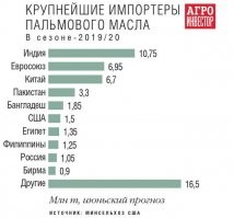 Пальмовое масло польза или вред