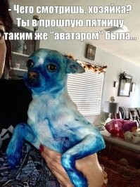У собаки своё объяснение...