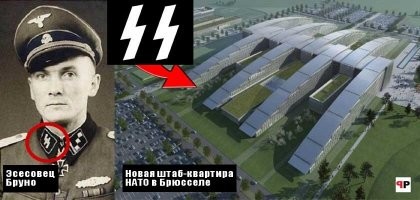 17 случаев, когда у шабашников работа пошла псу под хвост 