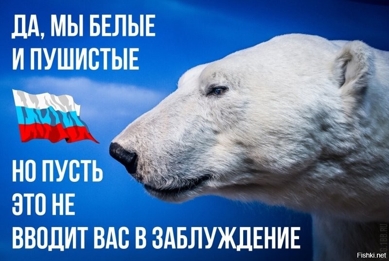 Я позвонил Марии Певчих и она во всём призналась