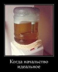 Мой бывший директор