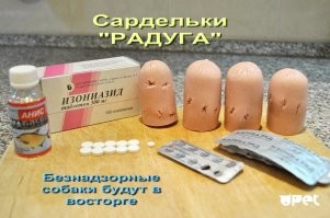 На грани отчаяния