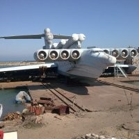 Тоже морской гигант в целом.