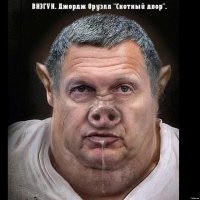 ВЦИОМ: Владимир Соловьев стал журналистом года