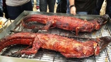 Чъёрт побъери.
А я то думал, откуда в Австралии игуаны ???