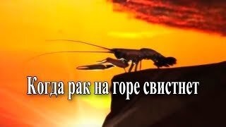 Обалденный банановый кекс 