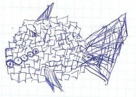 Эти перелетные птицы явно что-то знают