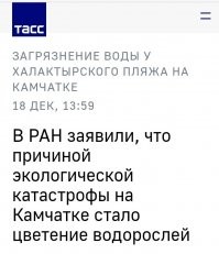 Да нет же! Это просто водоросли зацвели!