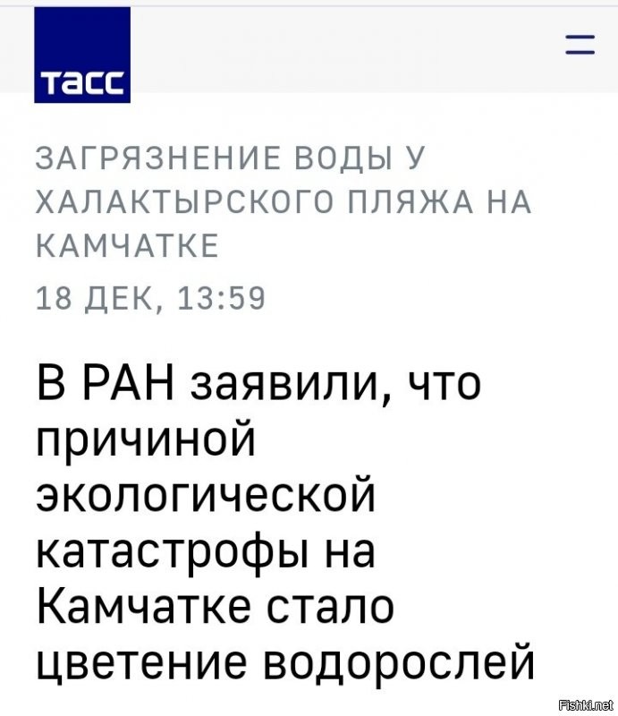 Да нет же! Это просто водоросли зацвели!
