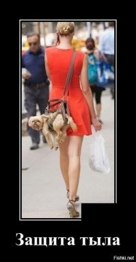 Собачьи демотиваторы