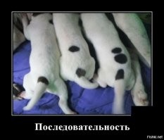 Собачьи демотиваторы