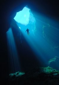 Талассофобам не входить: 20 жутких фото для тех, кто боится бездны