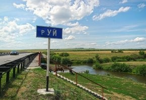Картинки