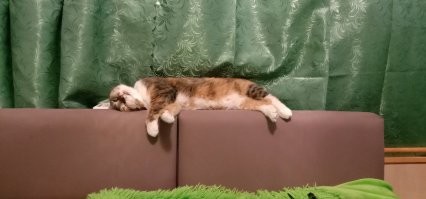 Добавлю мою шкодину