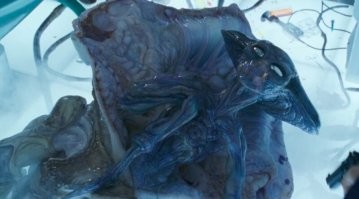 Фильм - День независимости! Голливуд сделал из кальмара свой персонаж- пришельца! Слизали практически полностью!