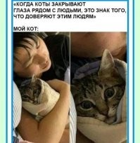 Примеры, когда по одному только взгляду легко понять величину любви питомцев к их хозяевам