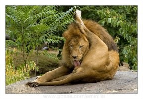 Брат и сестра - или парень и девушка? Новая игра