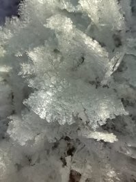 А мне недавно удалось запечатлеть вот такое.