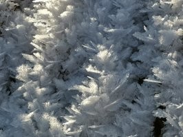 А мне недавно удалось запечатлеть вот такое.