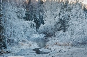 У нас вот такая красота.