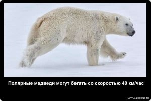 Ответ очевиден ! :)