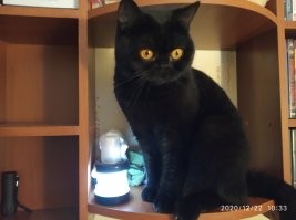 это моя с лампой