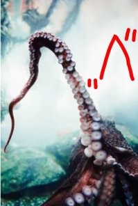 "Вид Л". 

Чего тут непонятного-то?