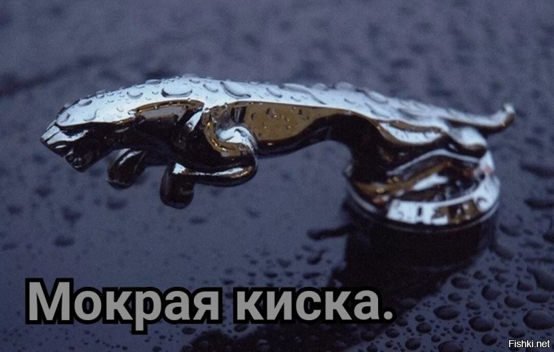 Подборка автомобильных приколов