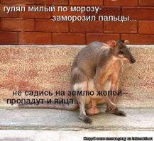 Пускай морозит.... в сугробе