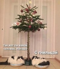 Глaвное укрaшение елки