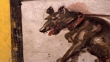 Археологи откопали салат-бар в Помпеях