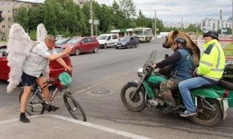Трасса е95