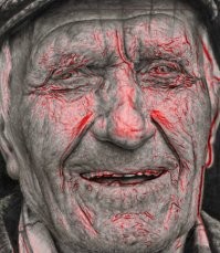Рисунки карандашом