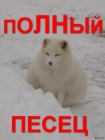 Забавная встреча рыбака с голодными песцами