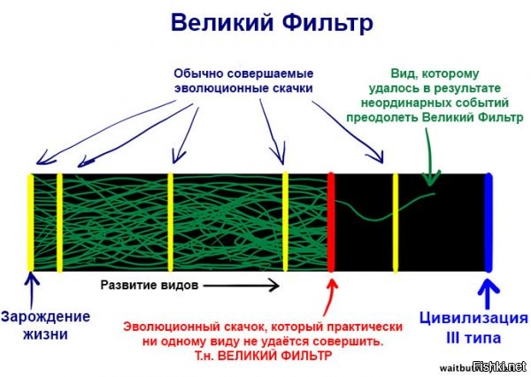 Великий фильтр