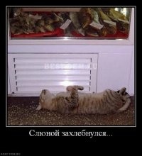 Быстрые, сытные и оригинальные закуски на новогодний стол