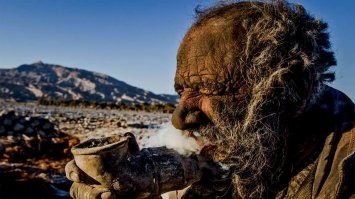 Хоть в этом "польза" от вируса.