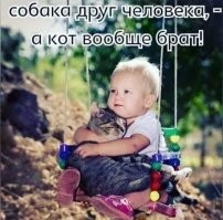 “Я бы себе не простил!” Уходя в машине под воду, парень спасает сначала кота, а потом – себя!