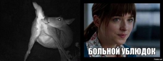 Нормалды, инсталляция в виде веселого шабаша поможет детям пораньше привыкнуть к стрессовым ситуациям