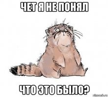 Удивительные манёвры водителя из Бийска привели к ДТП
