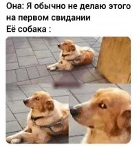 Картинки с надписями